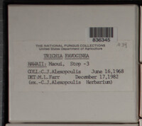 Image Associated With the Occurence